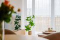 PARTNER EXPERT OPERATOR SPÓŁKA Z OGRANICZONĄ ODPOWIEDZIALNOŚCIĄ - 19